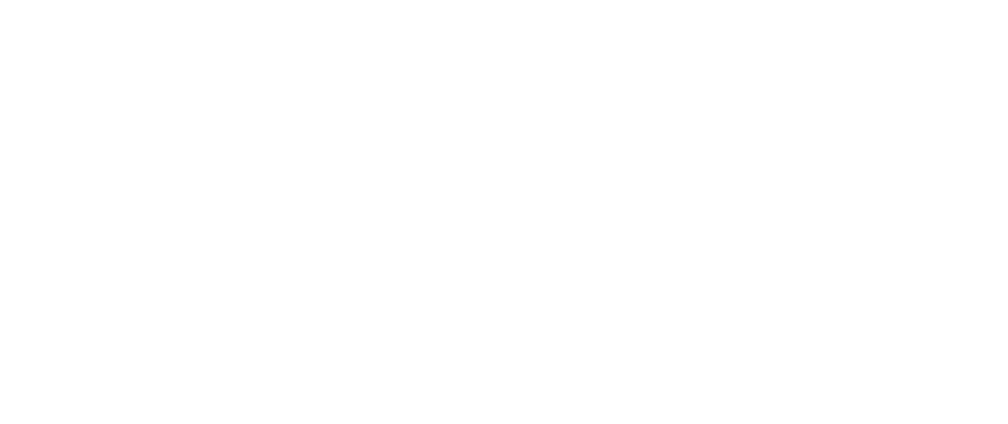 BrivoLogoWithoutTag_white